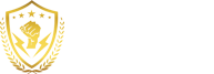 重庆市力威保安服务有限公司